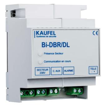  BI-DBR / DL 