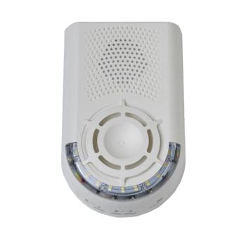  DS T2 Sa FLASH V2 