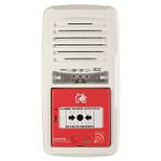  AIP T4 + DM 