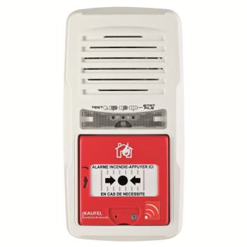  AIP T4 + DM 