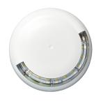  DVAF FLASH LUMINEUX BLANC 