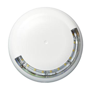  DVAF FLASH LUMINEUX BLANC 