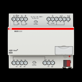  BCI/S1.1.1 