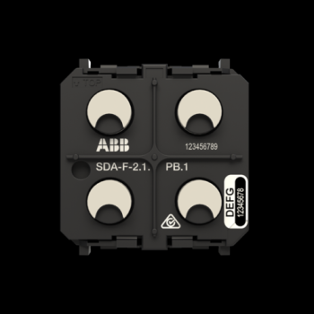  SDA-F-2.1.PB.1 
