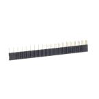  CR-SJB20-BLACK 