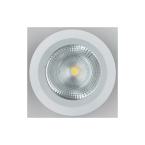  FUSION Downlight 30W 4000K 