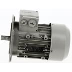  MOTEUR TRI 