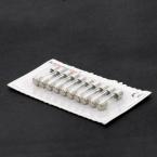  SACHET 10 FUSIBLES 10A 250 V 