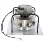  MOTEUR SERENCIO P/R UP/SW/LP 