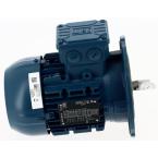  MOTEUR TRIPHASE 