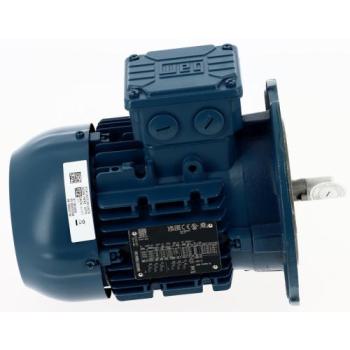  MOTEUR TRIPHASE 