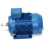  MOTEUR TRIPHASE 