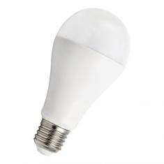  LED Ecobasic A65 E27 20W 827 2 