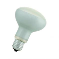  easy eco R80 E27 240V 70W 30 