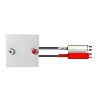  PLASTRON 2 RCA RACCORDE 0.20M 