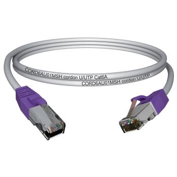  CORDON CAT6A U/UTP 3M ZH 