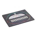  PIGTAIL G657A2 SCAPC 2M  B12 