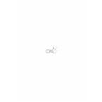  Adapt.Tub ogive dpart 62x0,6 