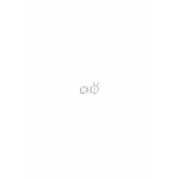  Adapt.Tub ogive dpart 62x0,6 