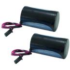  BBW219 Kit 2 Batteries 3,6V 19 
