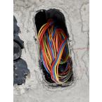  Pot de descente Nemo nu  poin 