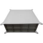  Pavitherm 4 Faces Lisses X50 
