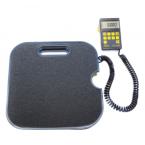  Balance 100 Kg / 2Gr DS220R 