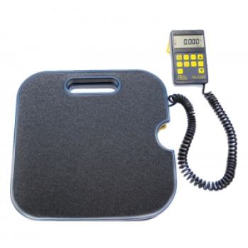  Balance 100 Kg / 2Gr DS220R 