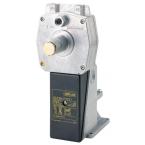  Servomoteur SKP 55 001E2 