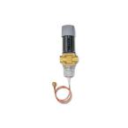  WVFX 25 VANNE A EAU 45 BAR 