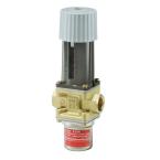  FJVA 25 VANNE THERM 25/65C  G 