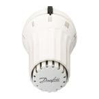  RAE-K 5034 BULBE INCORPORE 