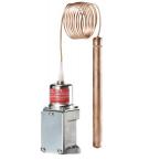  PILOT THERM/WVTS 20-60 CAP 5 M 