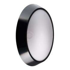  D2L LED color 1200lm 4000K N 