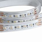  Ruban 240led/m bicolor 