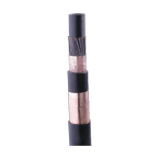  Conducteur non raccord� Ericor 