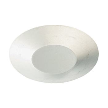  Disque obturateur diamtre 25, 