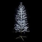  SPRAY-Sapin H2,10m BL pt 