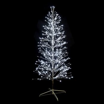  SPRAY-Sapin H2,10m BL pt 
