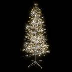  SPRAY-Sapin H2,10m BL CH pt 