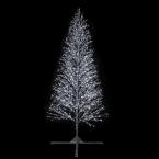  SPRAY-Sapin XL H4m BLC pt 