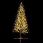 SPRAY-Sapin XL H4M BL CH pt 