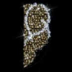  Brillant-Motif H2,5m 