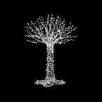  Fairy Tree H2,00m BL pt 