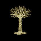  Fairy Tree H2,00m BL CH pt 