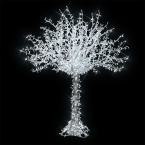  Fairy Tree H3,00m BL pt 