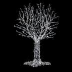  Fairy Tree H4,00m BL pt 