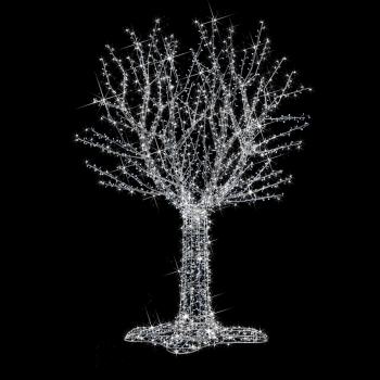  Fairy Tree H4,00m BL pt 