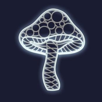  FLORENTIN-Petit Champignon 