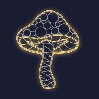  FLORENTIN-Petit Champignon 